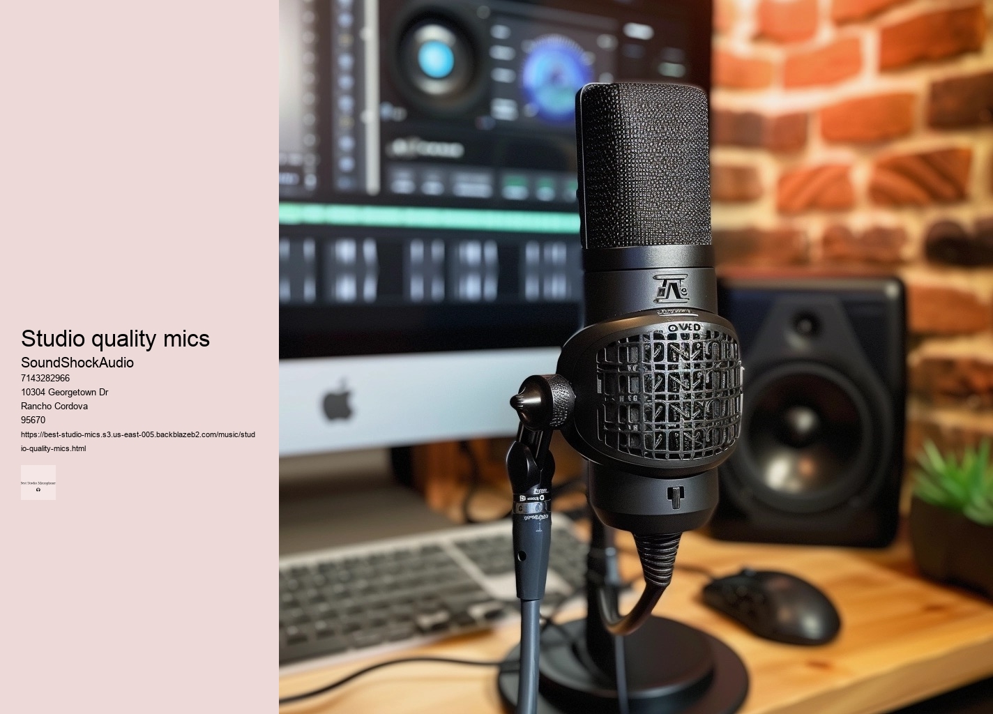 studio quality mics