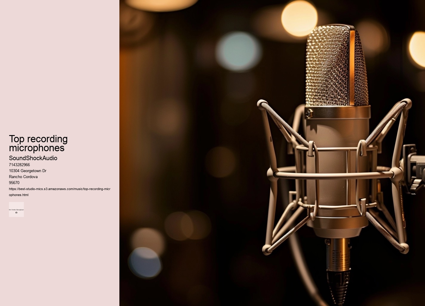 top recording microphones